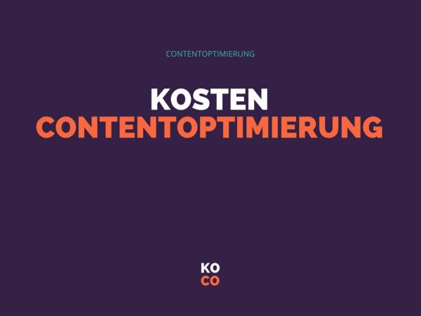 Kosten Contentoptimierung